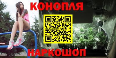 не бодяженный Кингисепп