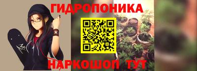 Альфа ПВП Кимры