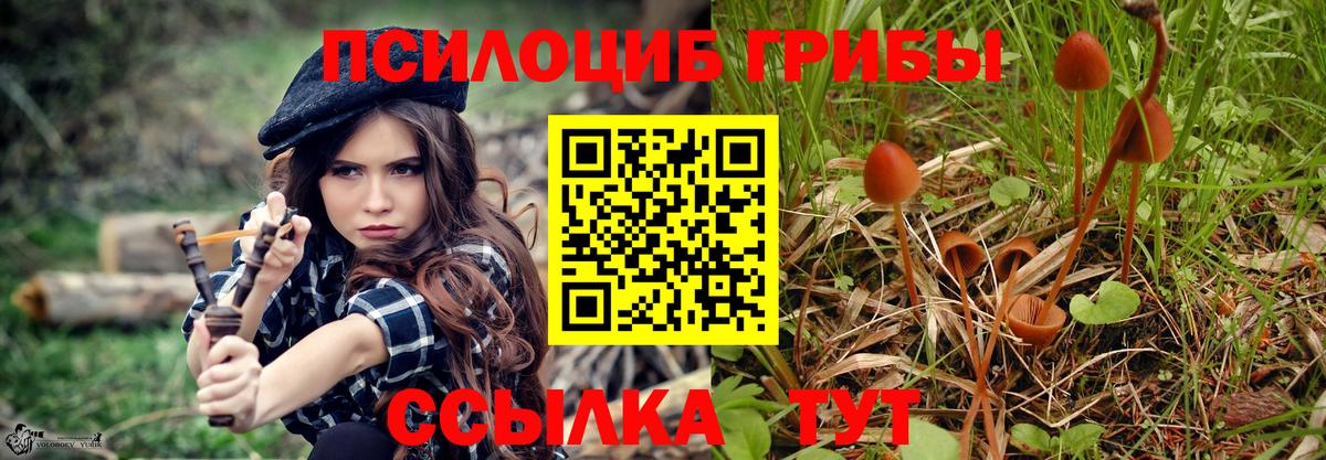 Псилоцибиновые грибы мицелий Ейск